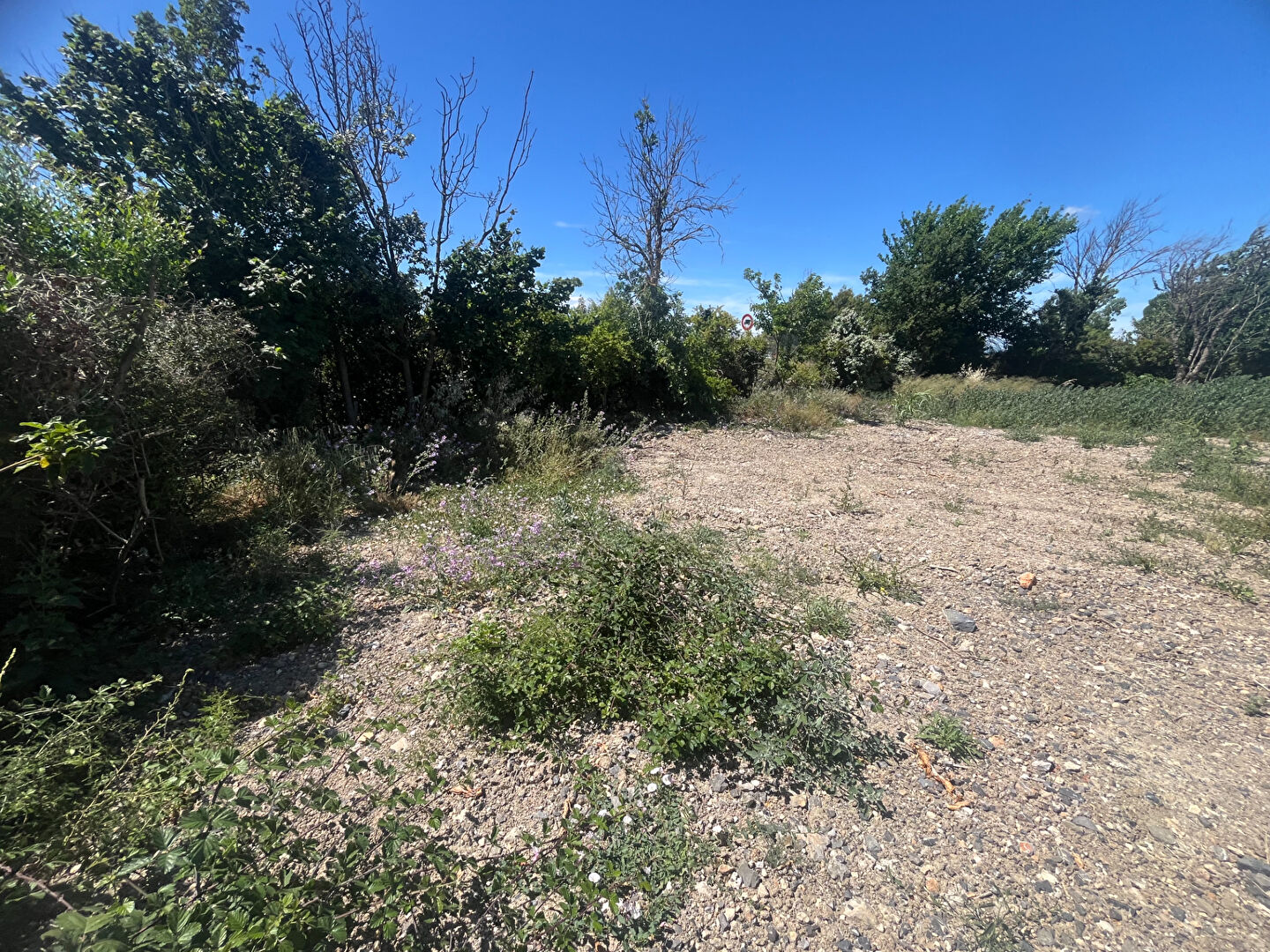 Achat Terrain 452m² - Vue 5