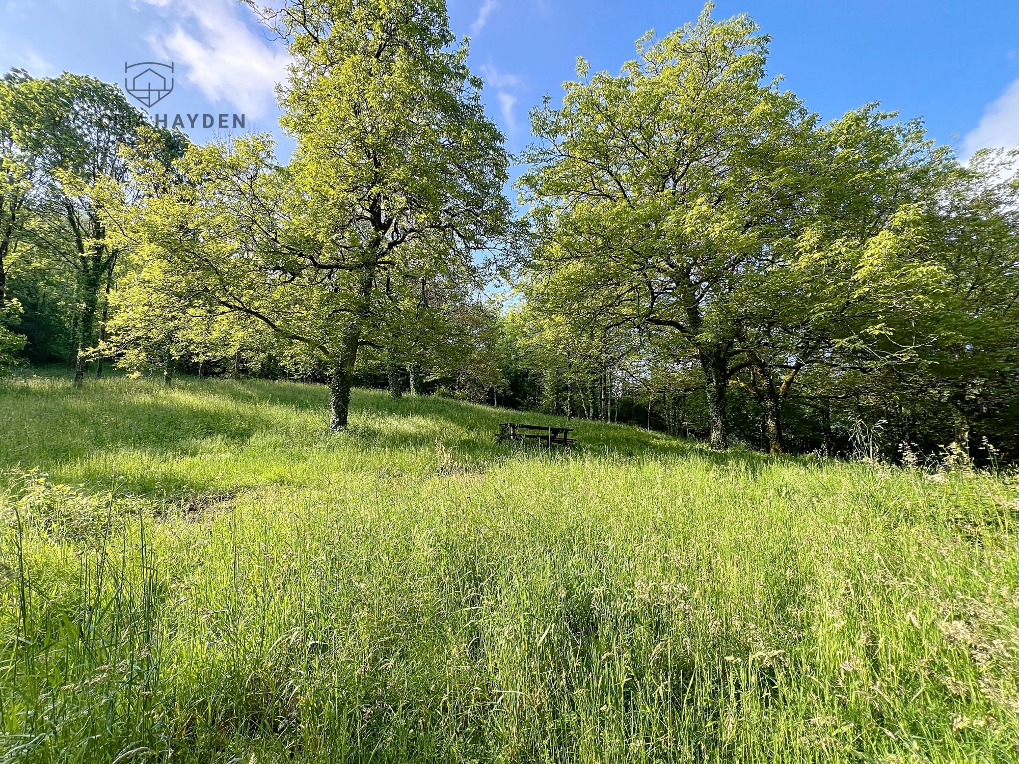 Achat Immeuble 70m² REBENACQ 64260 - Vue 5