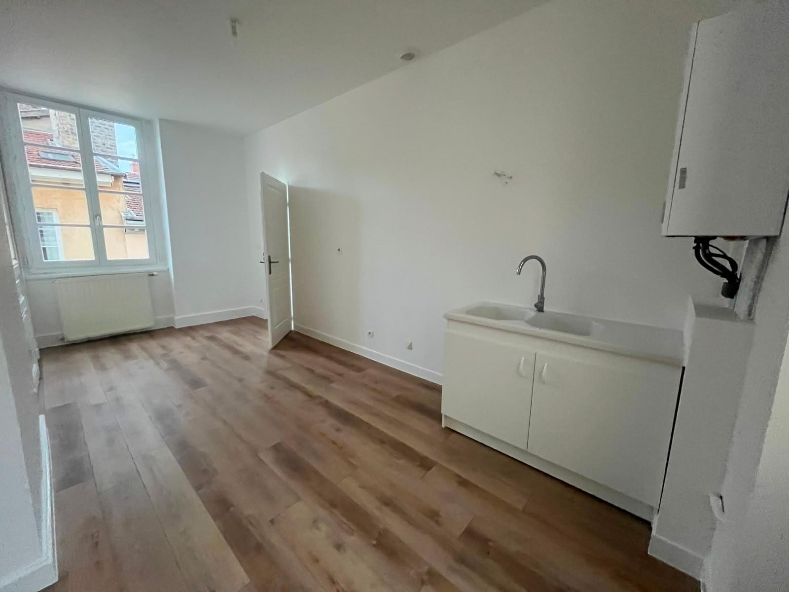 Appartement – Lyon, Perrache, 2e Arrondissement - Vue 5