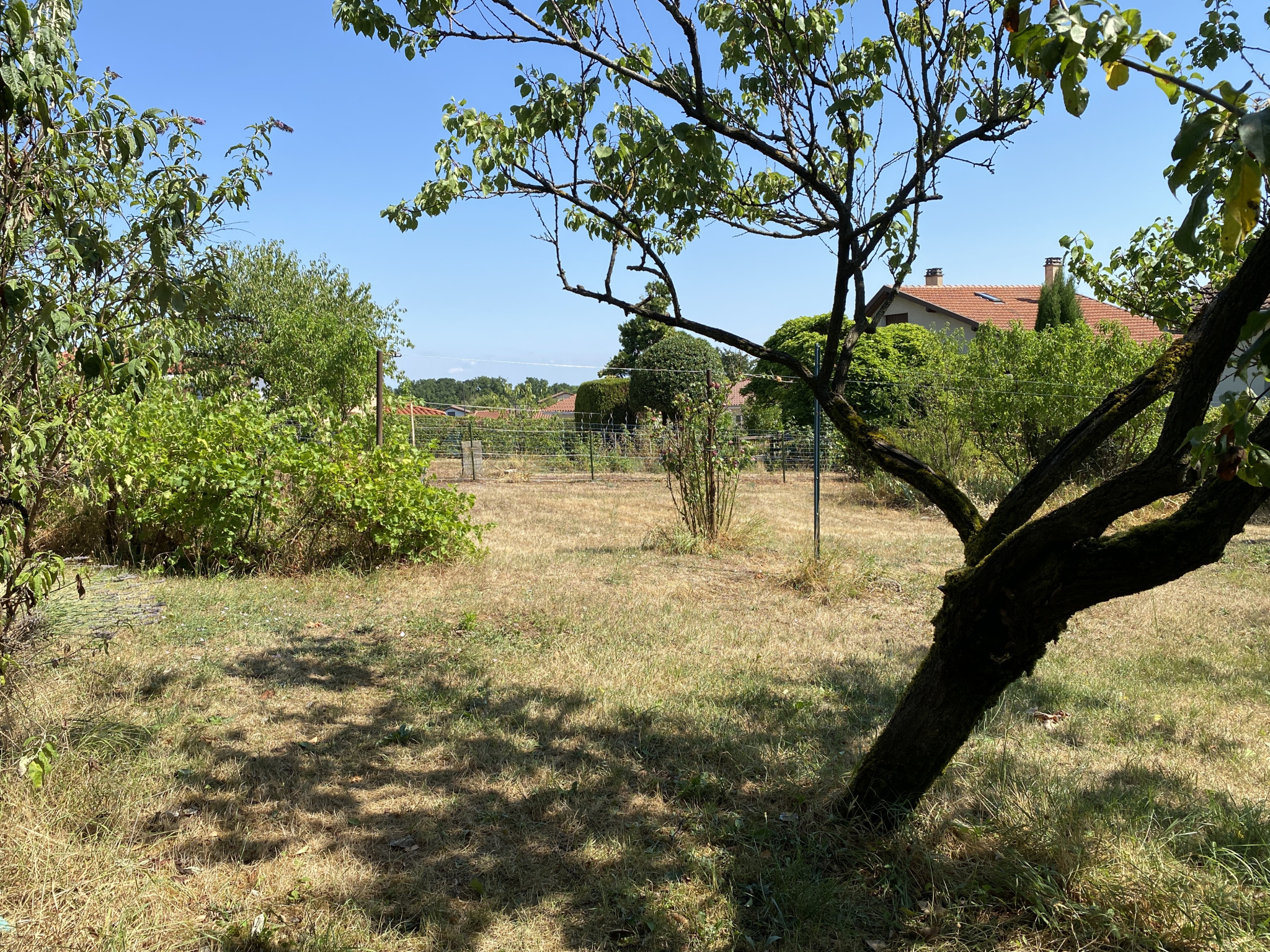 Achat Terrain 460m² CHAZAY D AZERGUES 69380 - Vue 2
