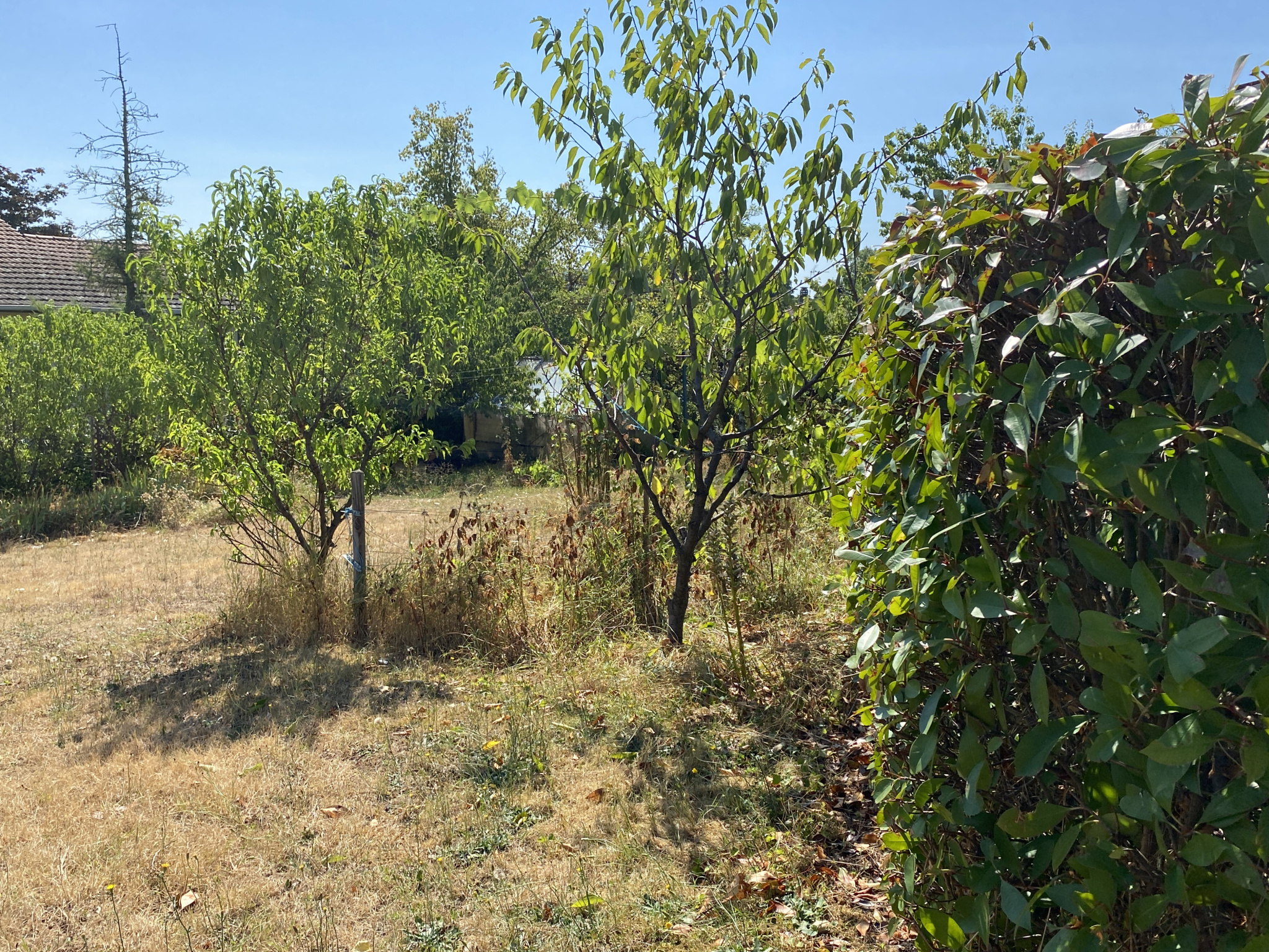 Achat Terrain 460m² CHAZAY D AZERGUES 69380 - Vue 3