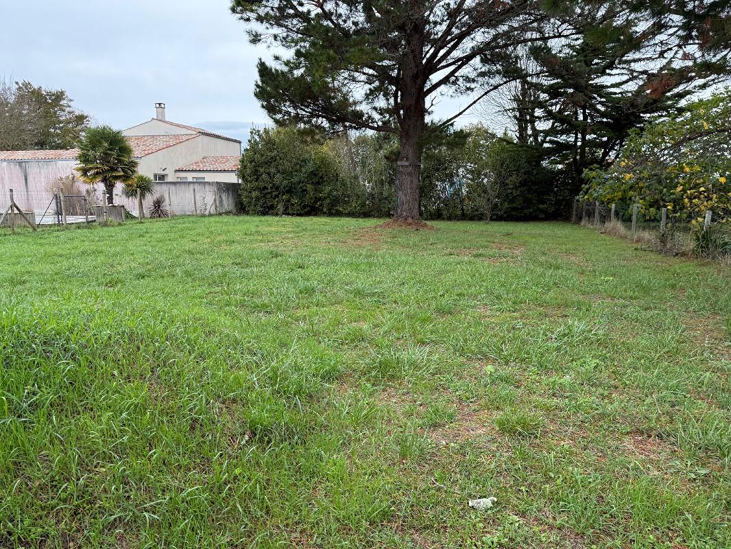 Terrain 784 m² · à St Georges D Oleron · 784 m² · 153 000 €
