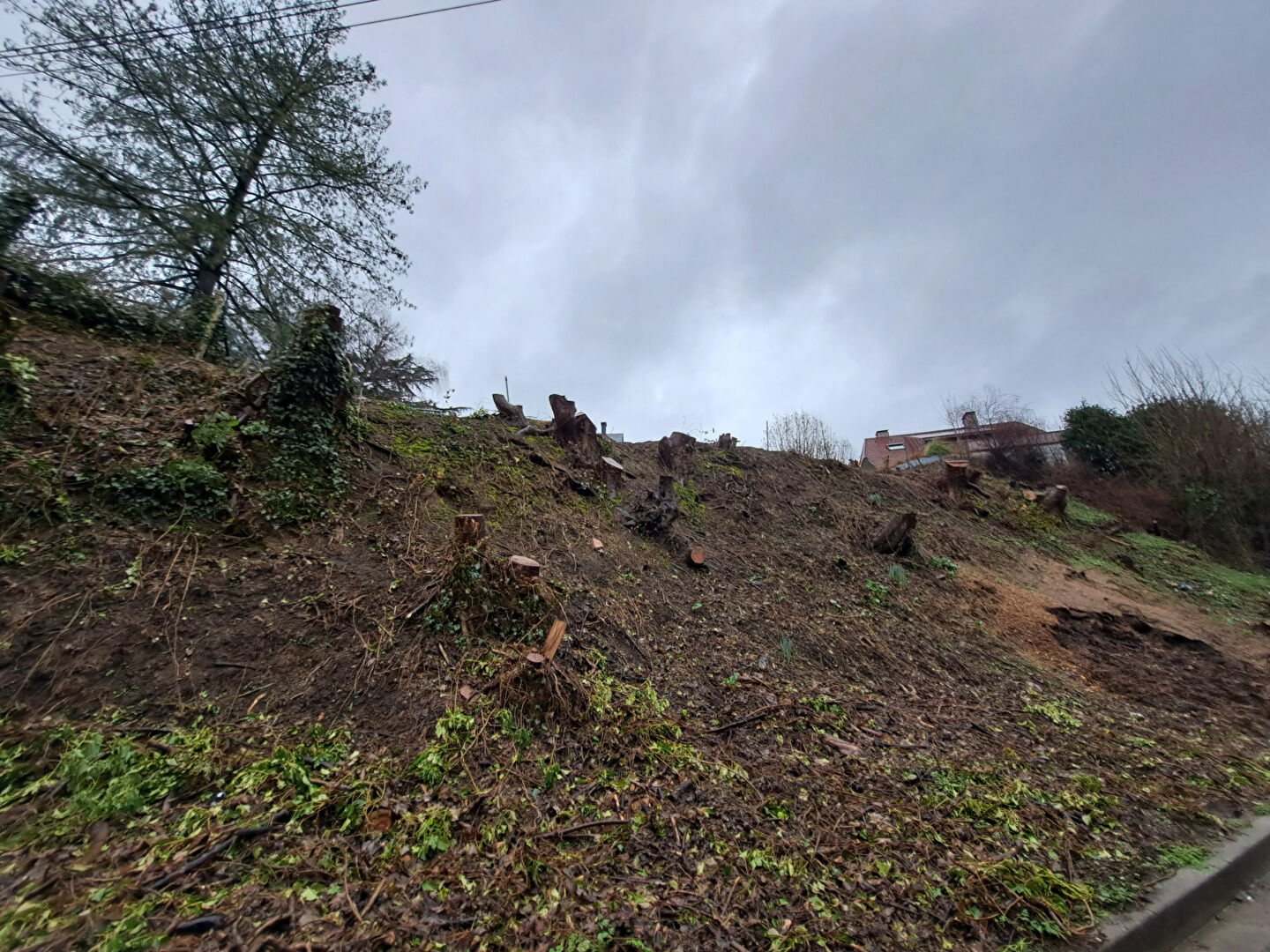 Terrain 505 m² · à Mont St Aignan · 505 m² · 80 000 €