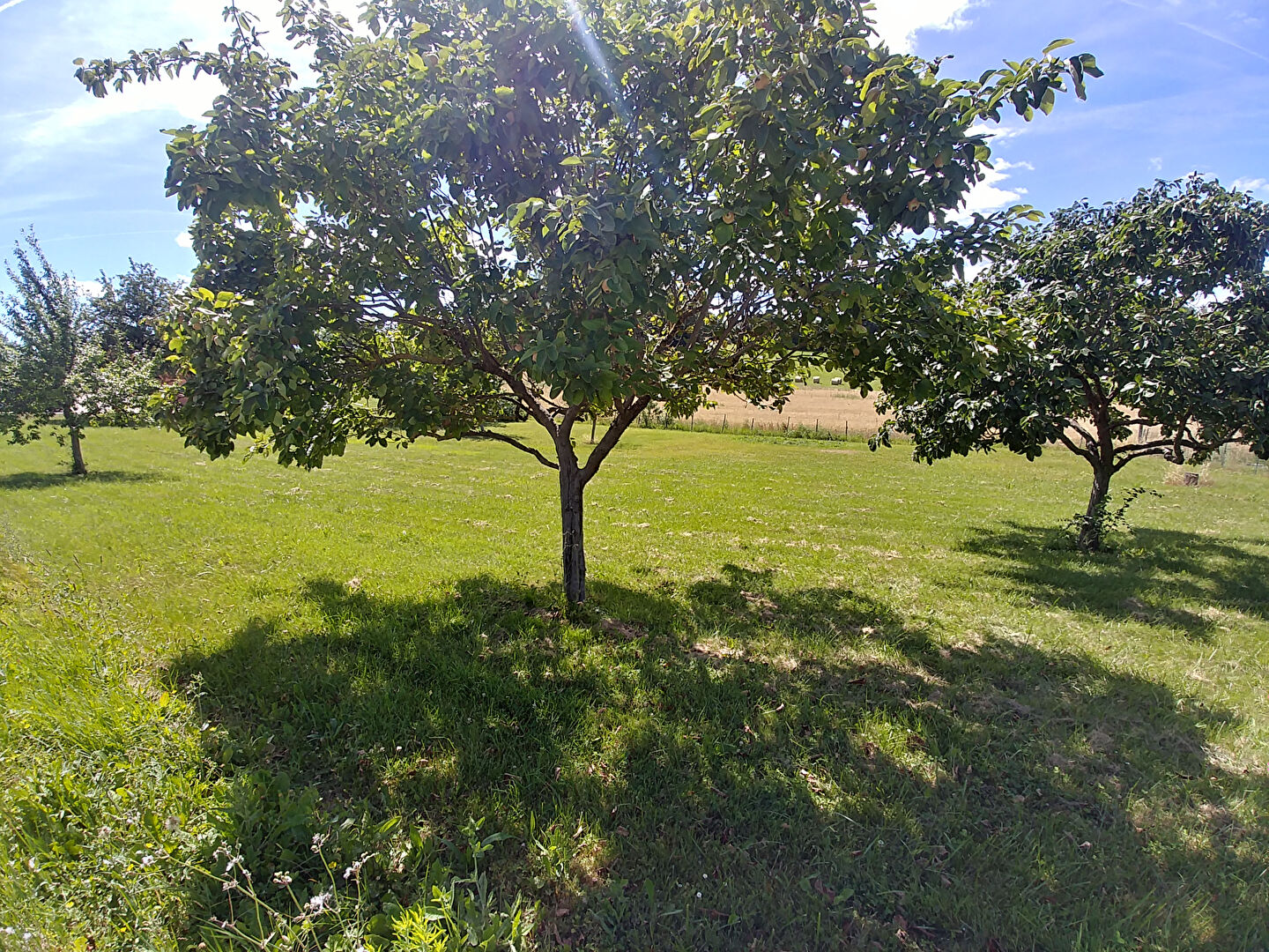 Terrain 2003 m² · à Caussade · 2 003 m² · 60 000 €