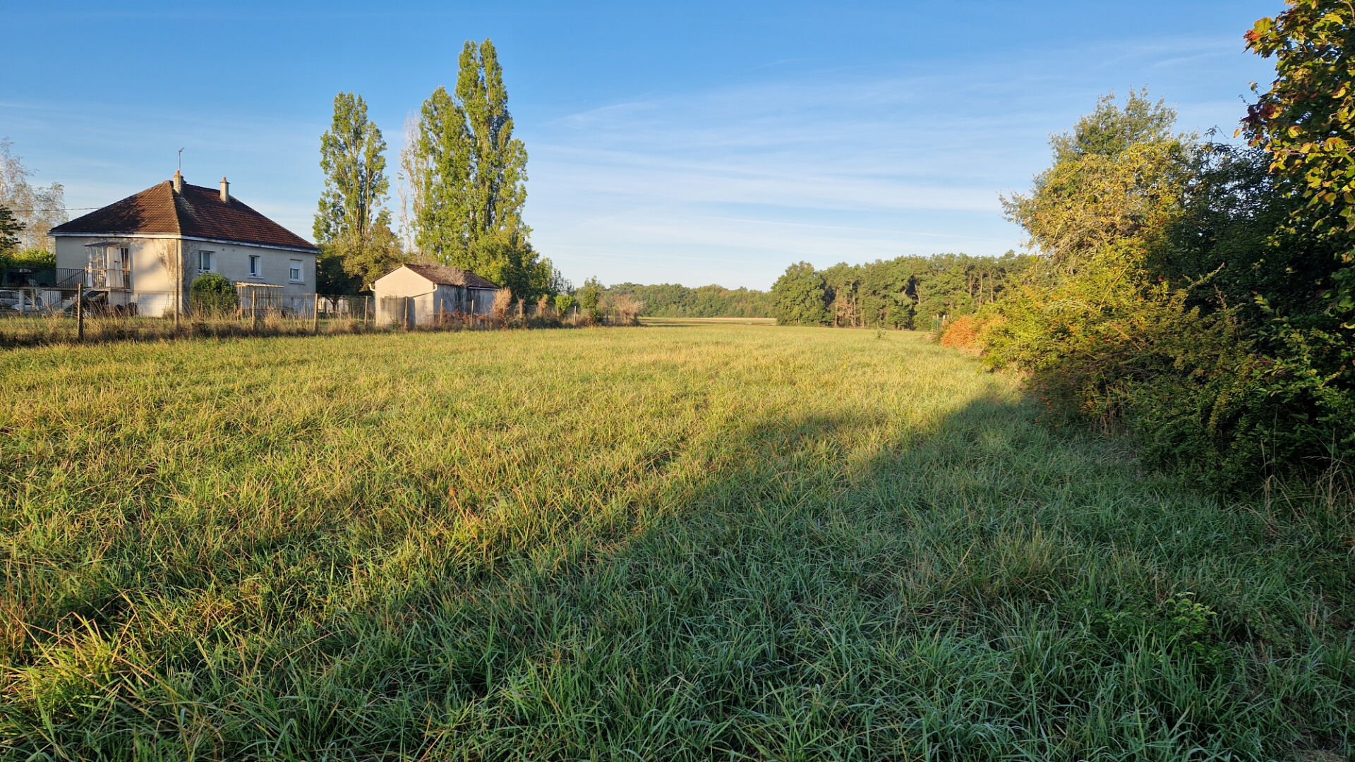 Terrain 1 460m²