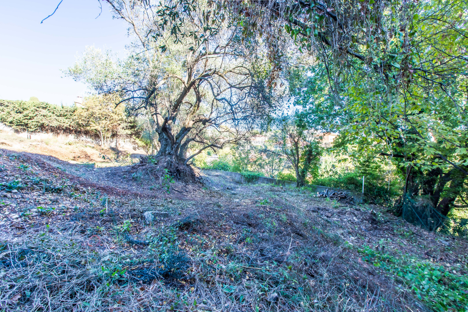 Terrain 887 m² · à Nice · 887 m² · 580 000 €