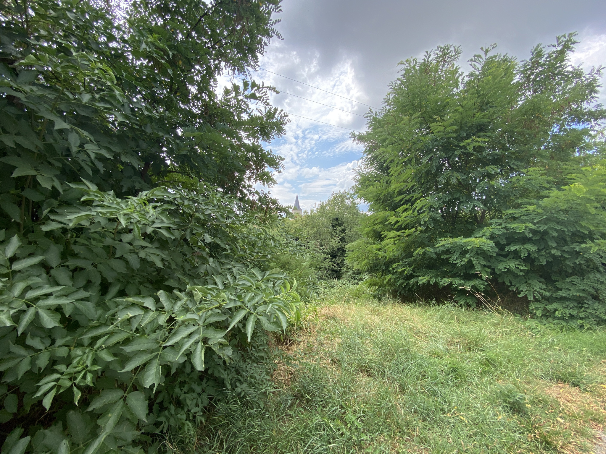 Terrain 988 m² · à St Germain Laval · 988 m² · 35 000 €