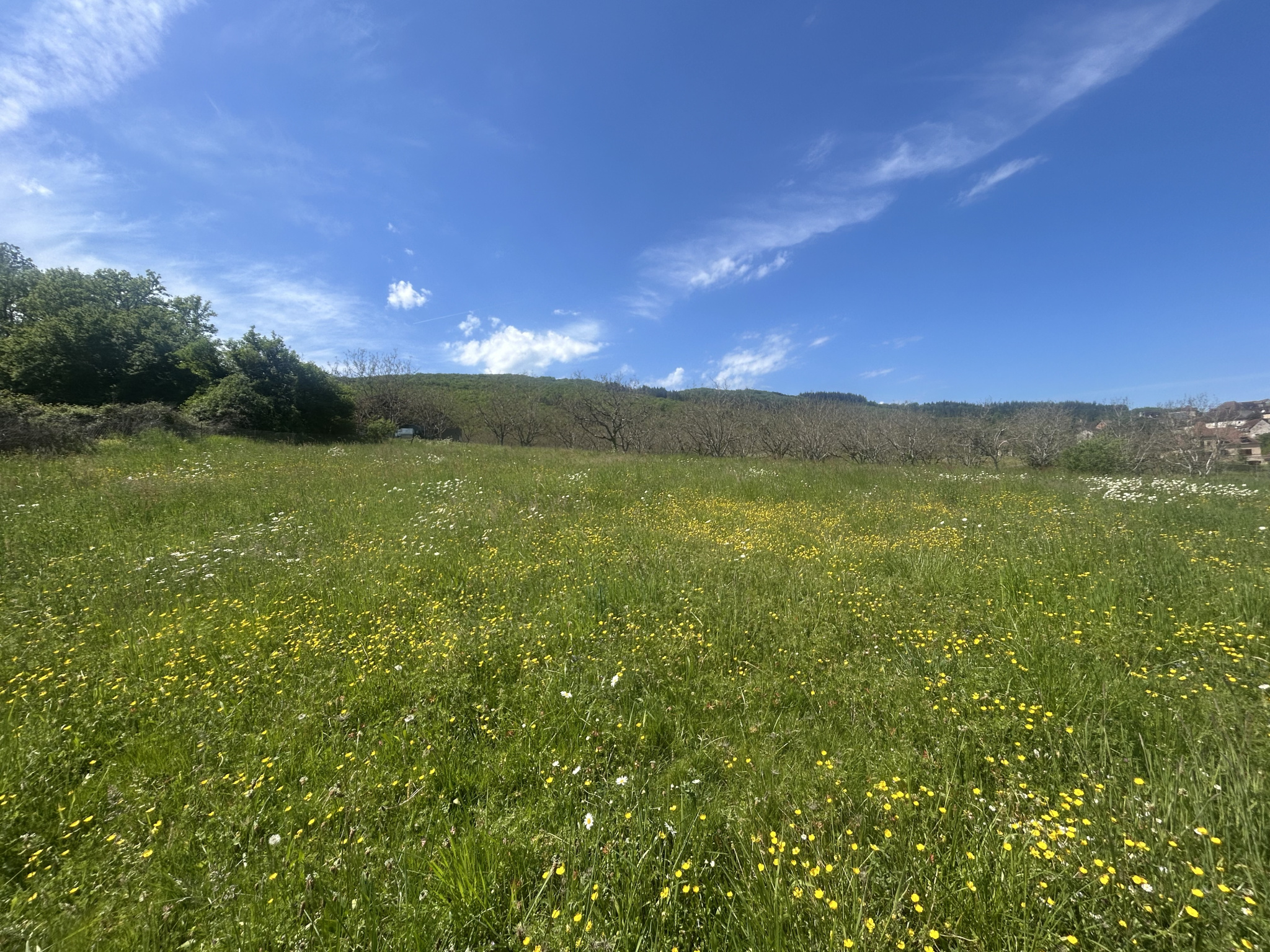 Terrain 1200 m² · à Lanzac · 1 200 m² · 34 500 €