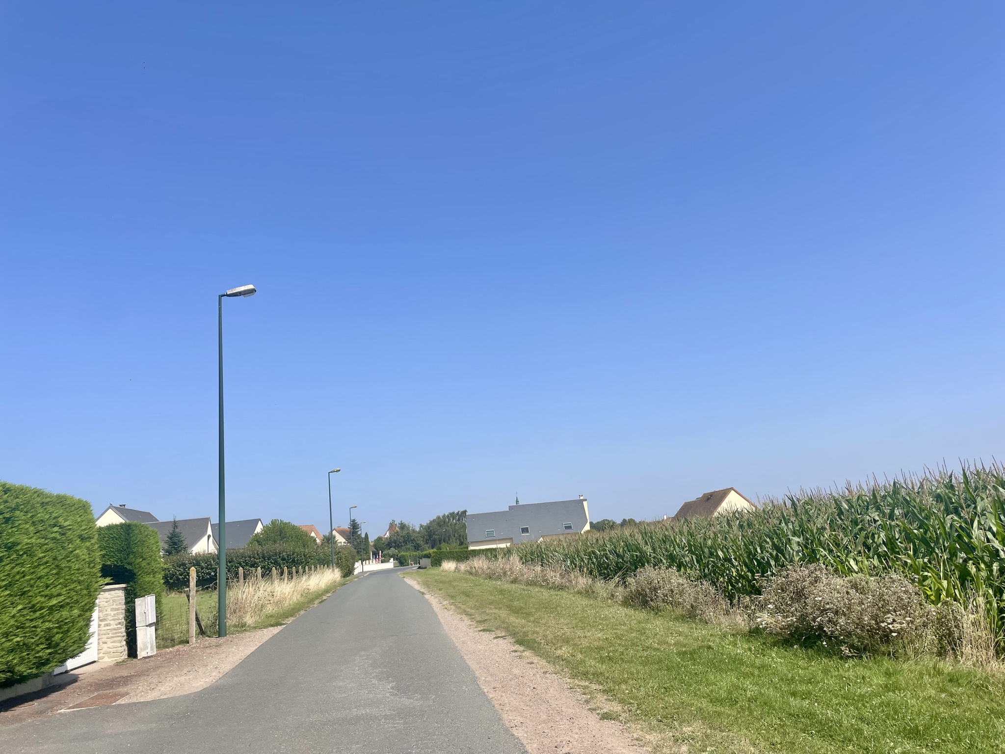 Terrain 309 m² · à Thaon · 309 m² · 72 040 €
