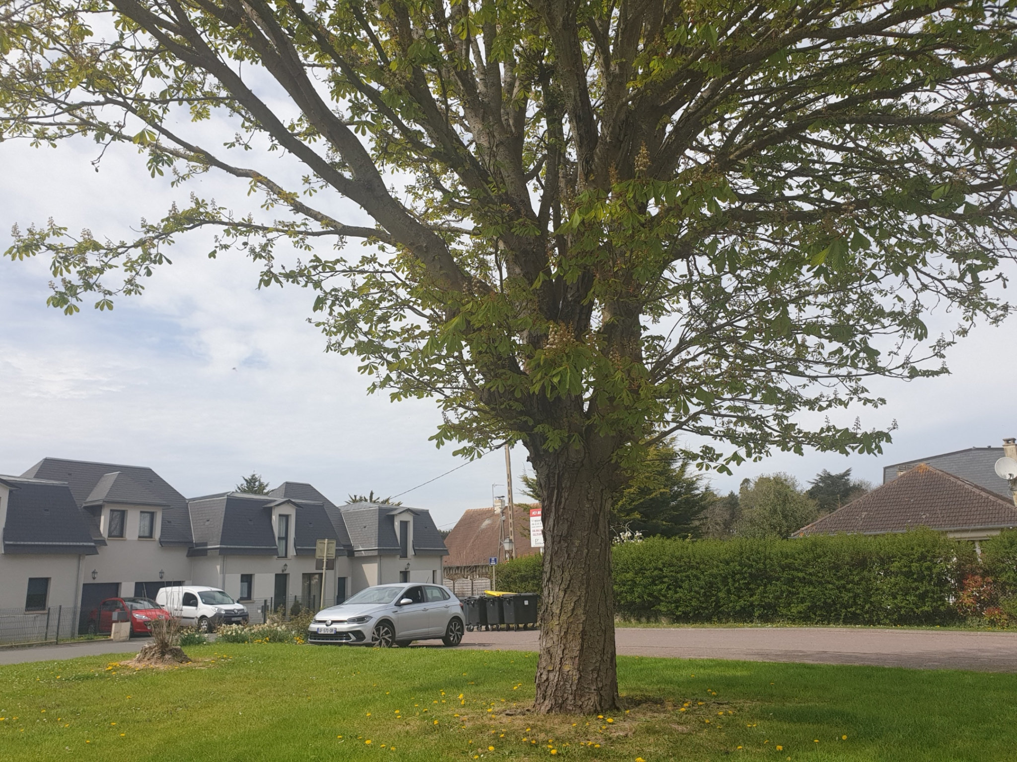 Appartement 2 pièces 39 m² · à Deauville · 39 m² · 235 600 €