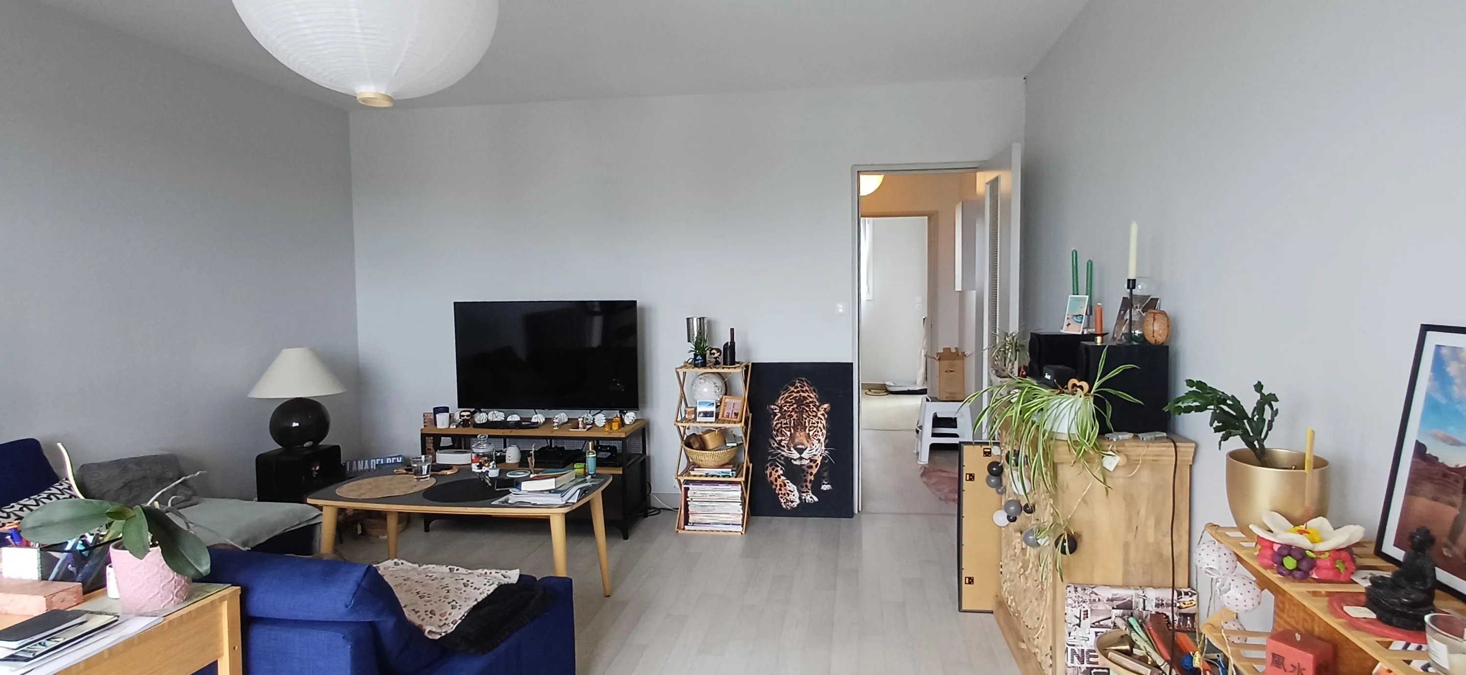 Ouvrir le diaporama et voir plus de photos