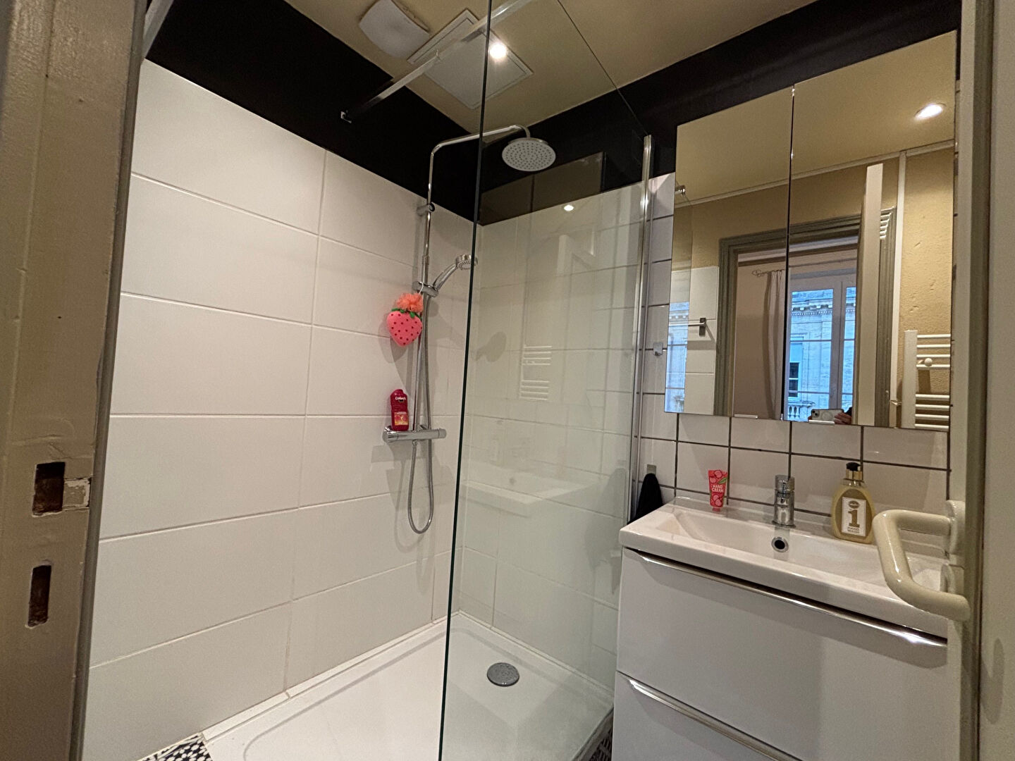 Appartement – BORDEAUX GIRONDE NOUVELLE-AQUITAINE - Plus