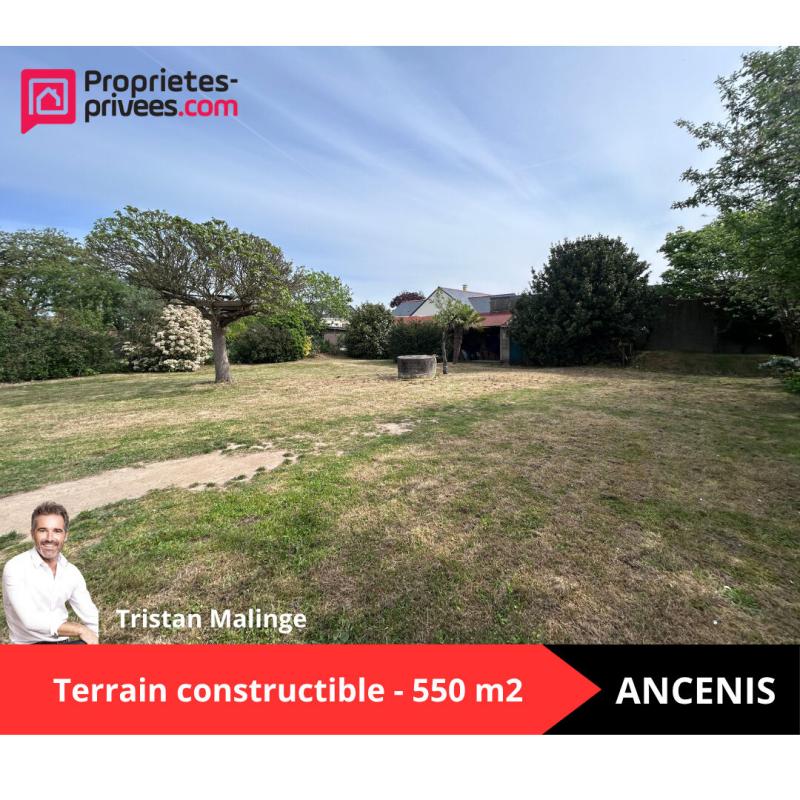 Terrain 550 m² · à Ancenis-Saint-Géréon · 550 m² · 147 290 €