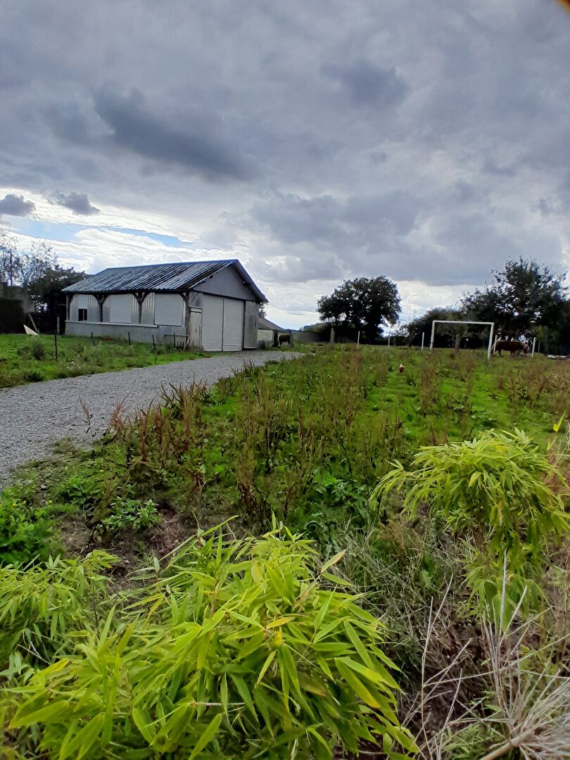 Terrain 2410 m² · à Rannée · 2 410 m² · 53 600 €