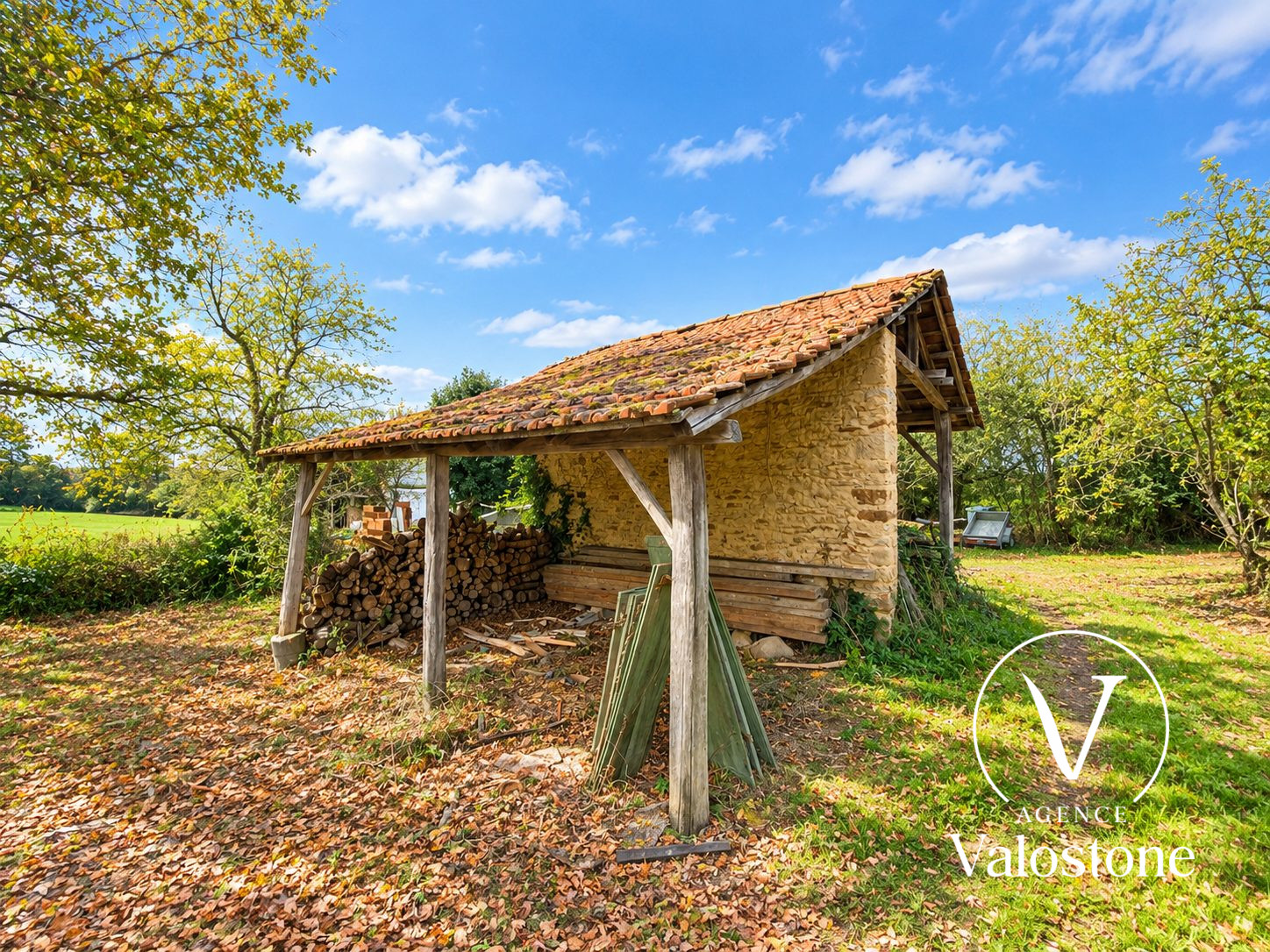 Maison – CASTELNAU TURSAN LANDES NOUVELLE-AQUITAINE - Vue 4