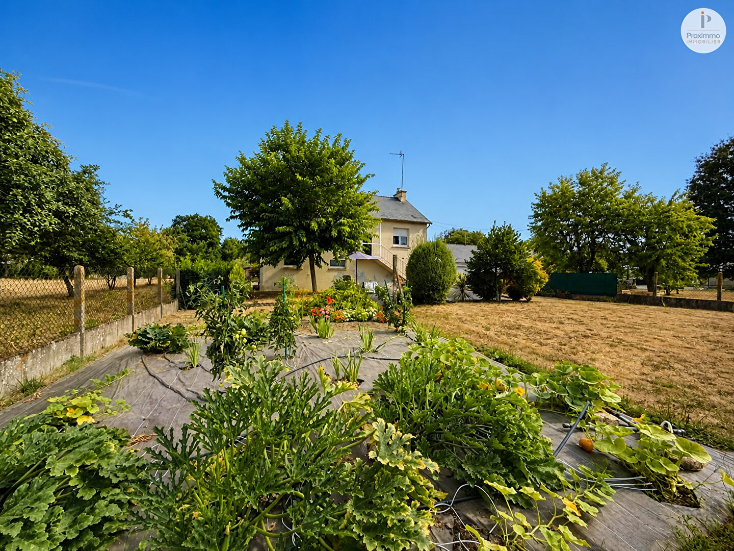 Maison – BAINS SUR OUST ILLE-ET-VILAINE BRETAGNE - Vue 4