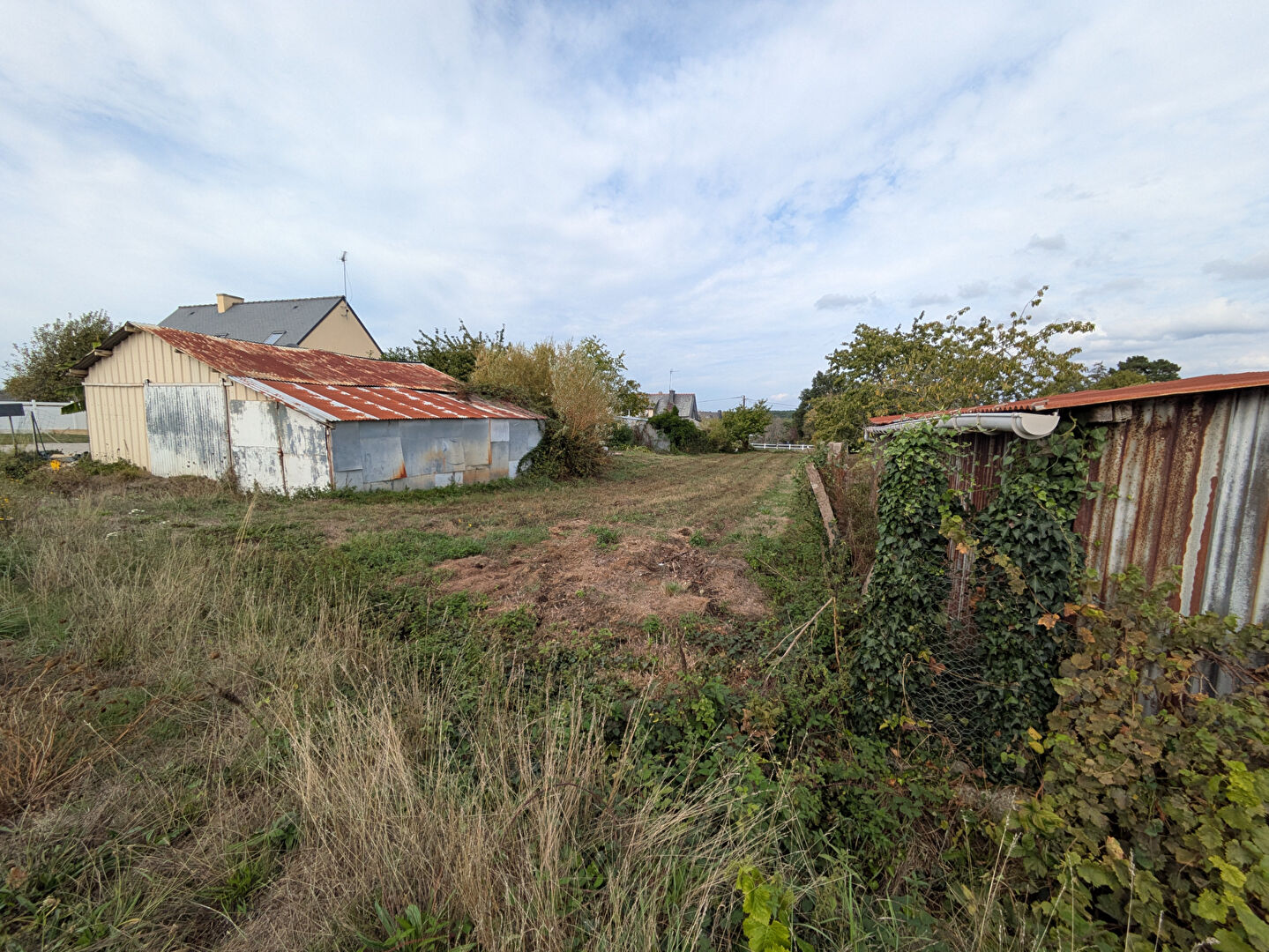 Terrain 669 m² · à Saint-Dolay · 669 m² · 54 800 €