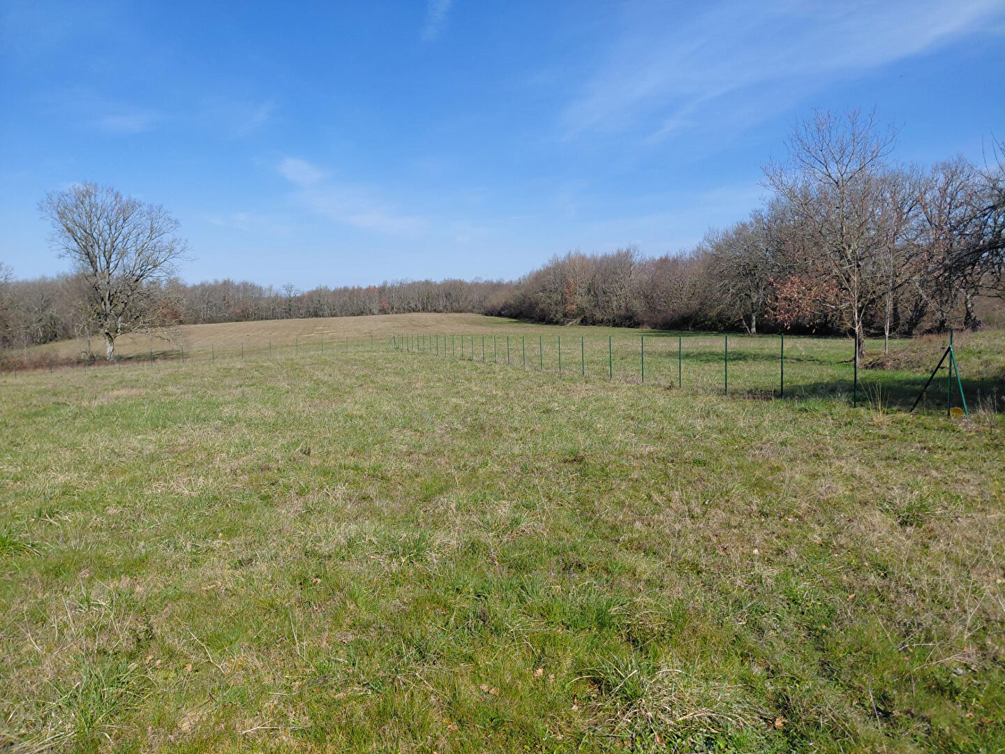 Terrain 2879 m² · au Born · 2 879 m² · 68 000 €