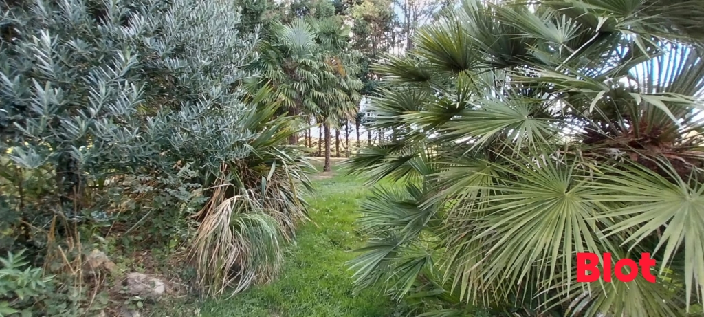 Maison 6 pièces 150 m² · à Guipry-Messac · 150 m² · 299 000 €