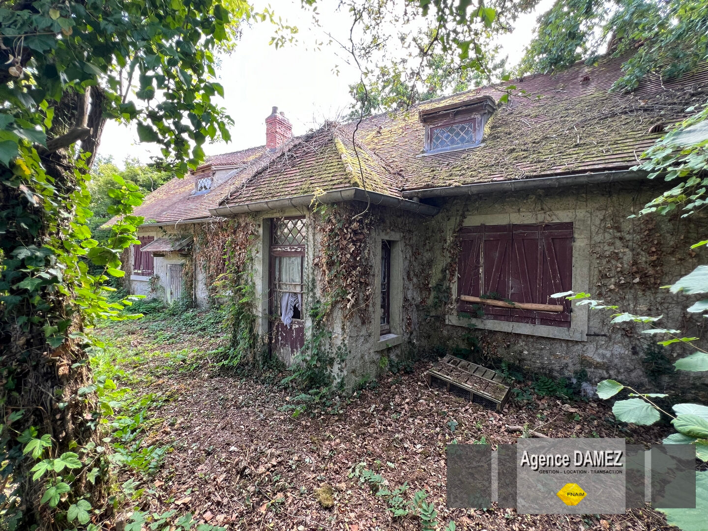 Maison – STE MESME YVELINES ILE-DE-FRANCE - Vue 2