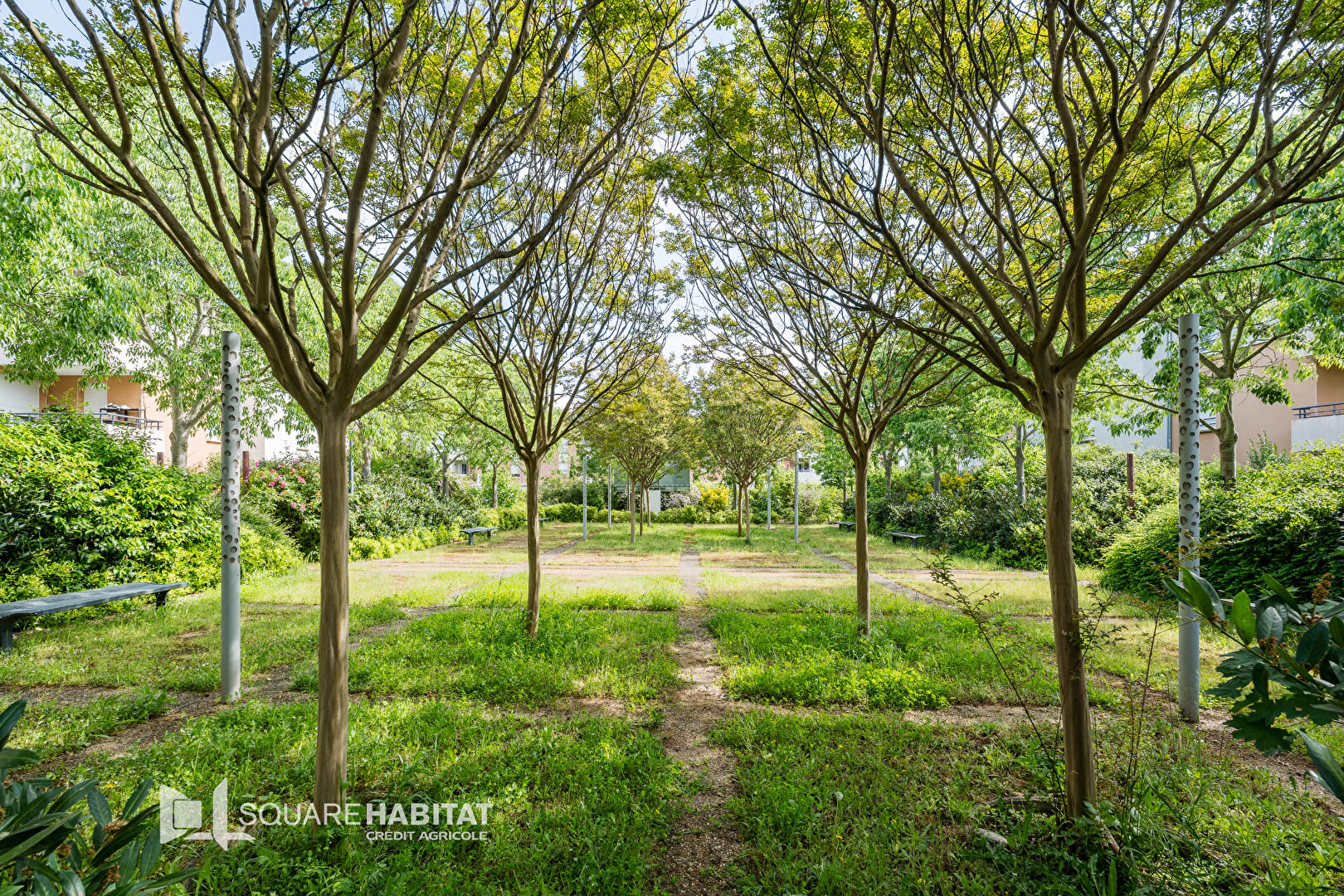 Apartment in Roquettes, Haute-Garonne - View 4