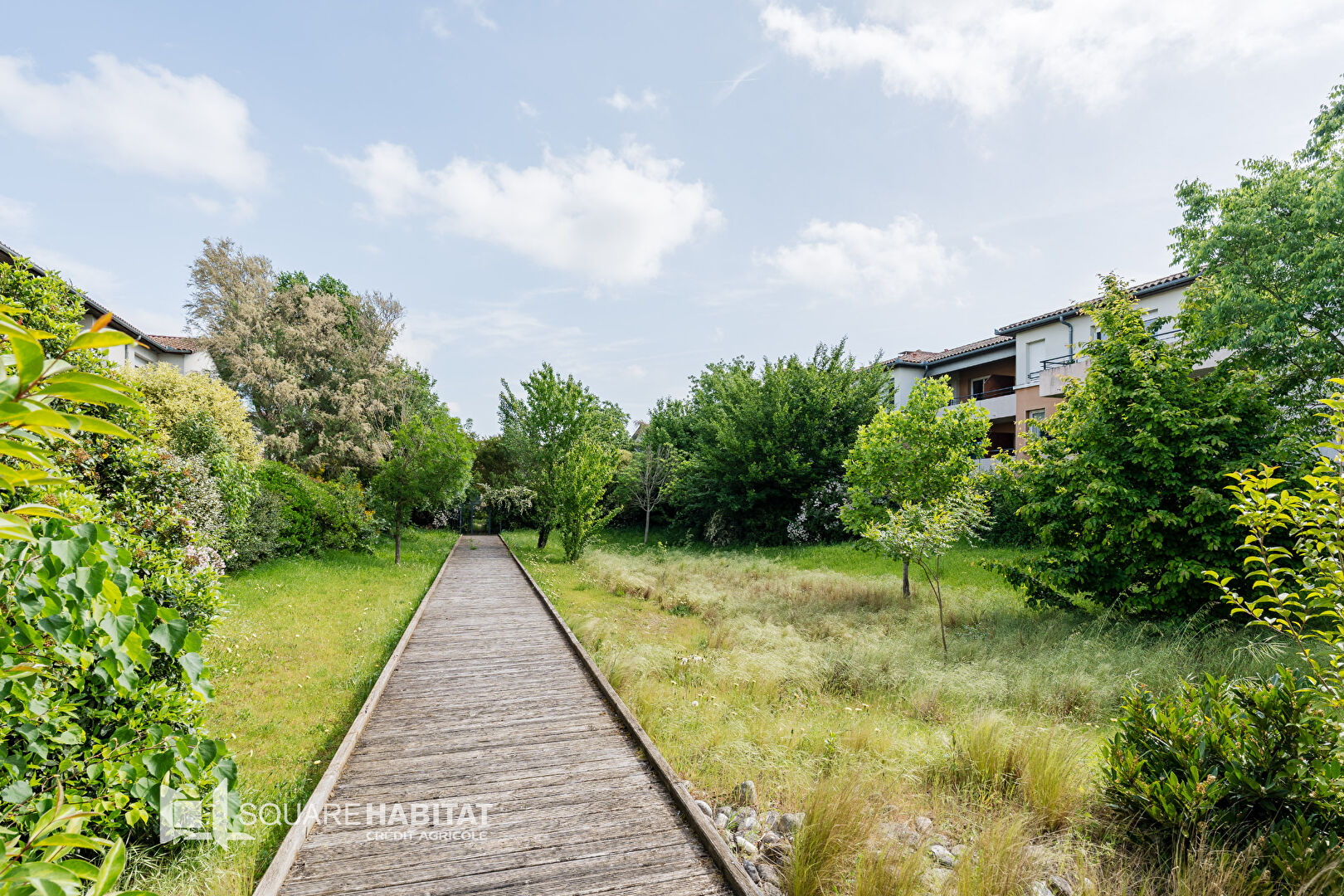 Apartment in Roquettes, Haute-Garonne - View 5