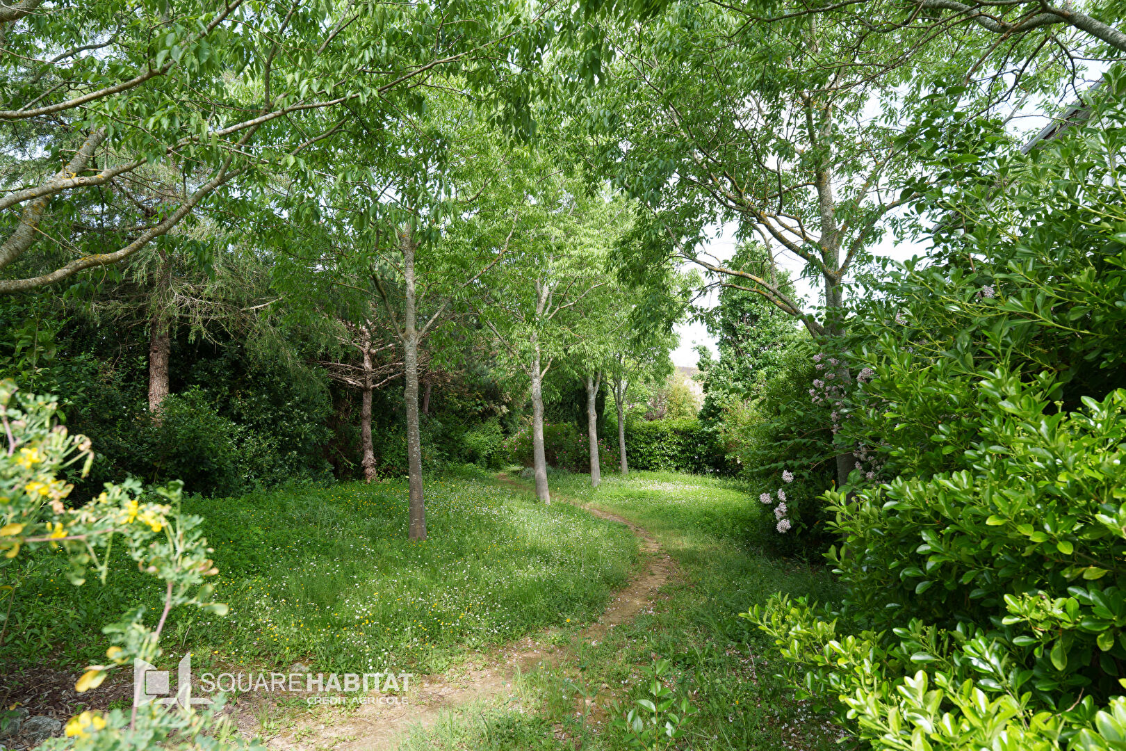 Apartment in Roquettes, Haute-Garonne - More