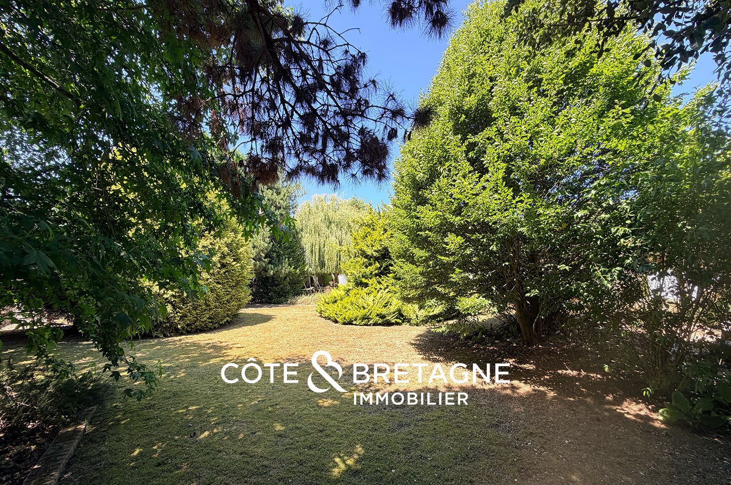 Ouvrir le diaporama et voir plus de photos