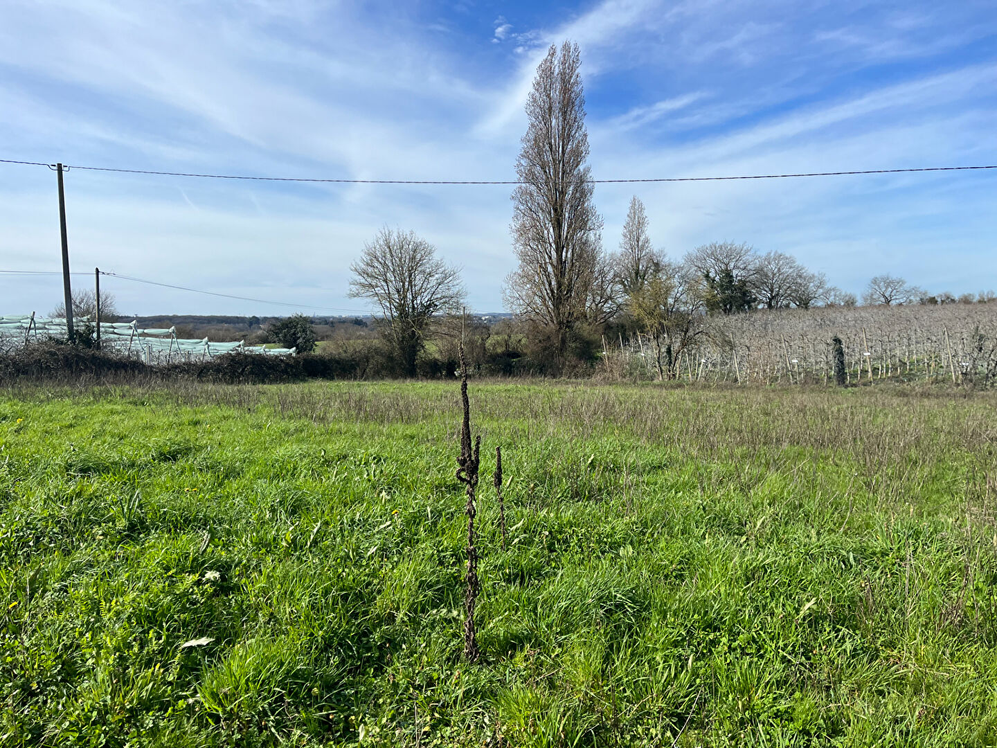 Terrain 1550 m² · à Carquefou · 1 550 m² · 139 000 €