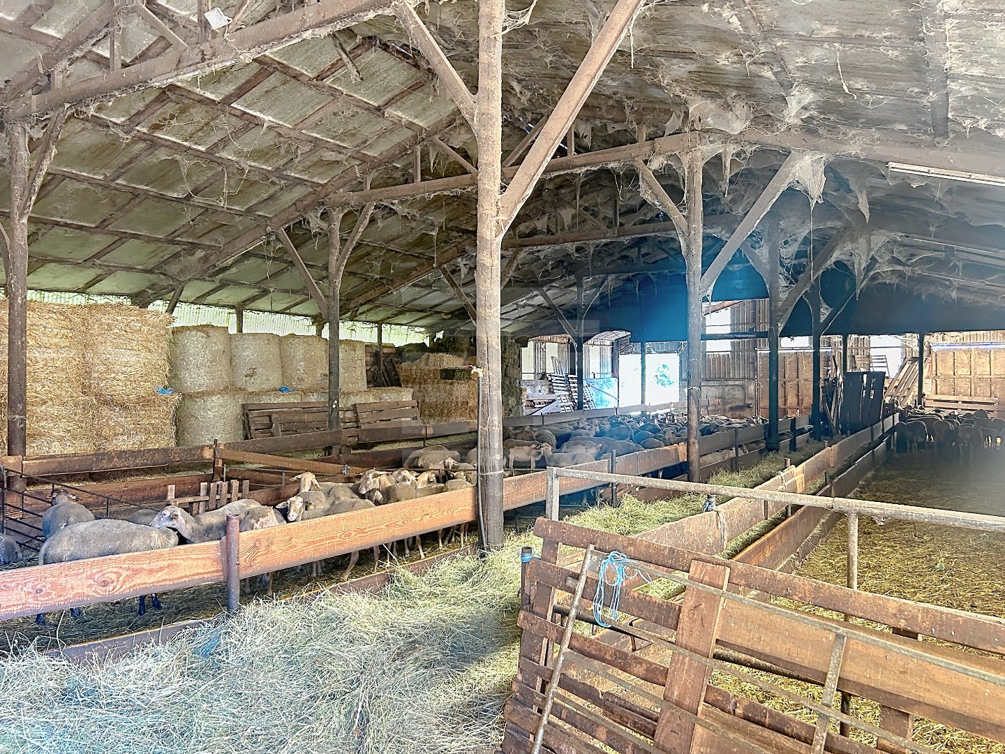 Maison – VIANE TARN OCCITANIE - Vue 5