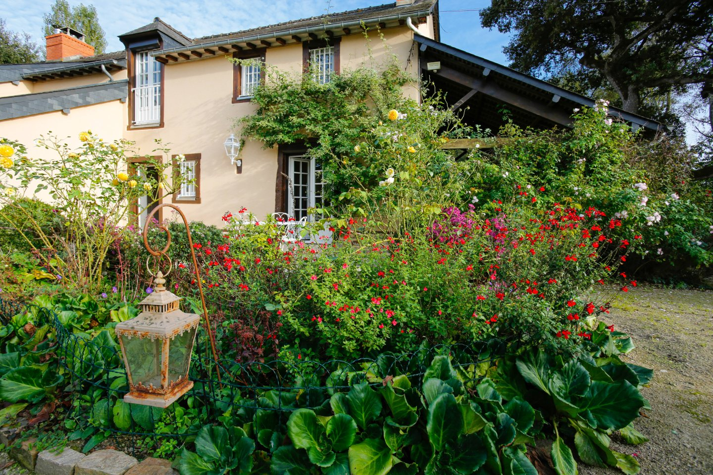 Maison 7 pièces 256 m² · à Pacé · 256 m² · 769 500 €