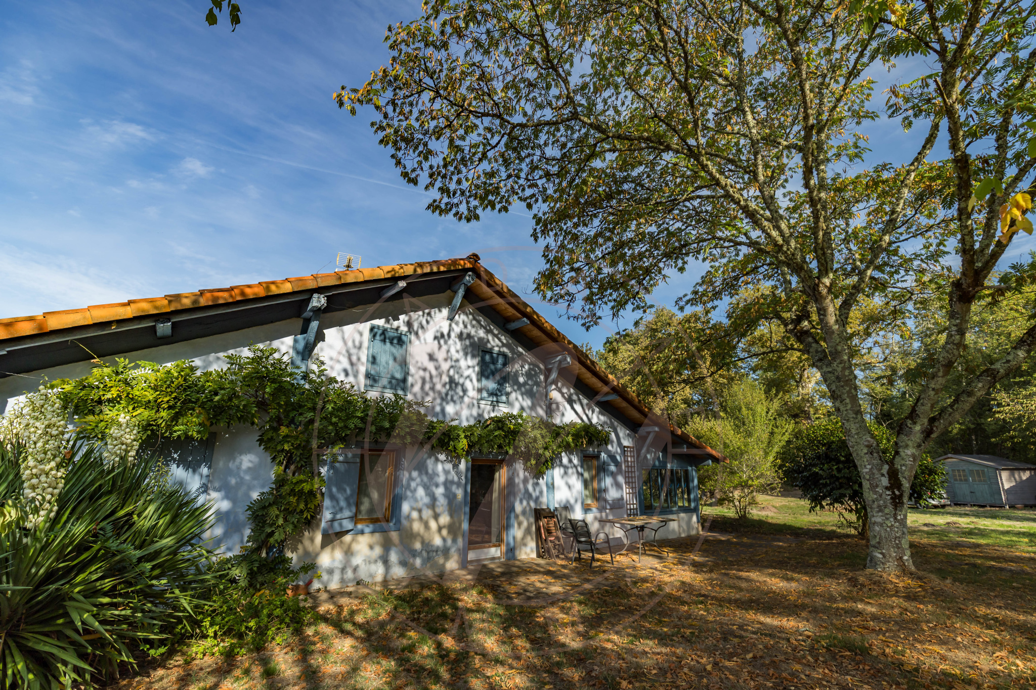 Maison 16 pièces 500 m² · à Luglon · 500 m² · 808 000 €