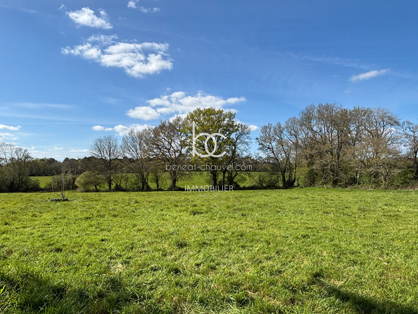 Terrain 15736 m² · à Berric · 15 736 m² · 210 800 €