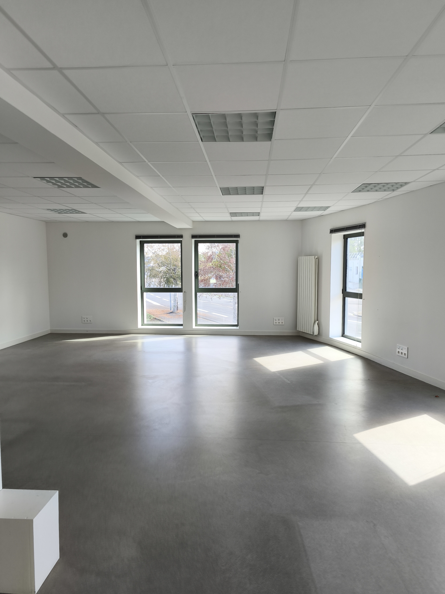 Local commercial 174 m² · à Ancenis-Saint-Géréon · 174 m² · 1 750 €/mois