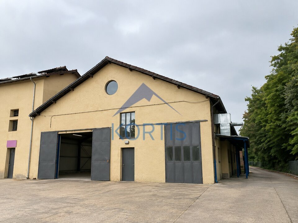 Local commercial 1480 m² · à Fleurieu-sur-Saône · 1 480 m² · 8 750 €/mois