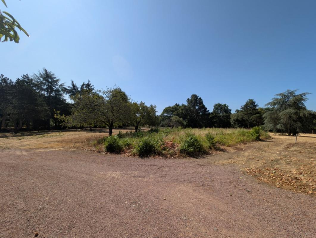 Terrain 2500 m² · à Divatte-sur-Loire · 2 500 m² · 128 000 €
