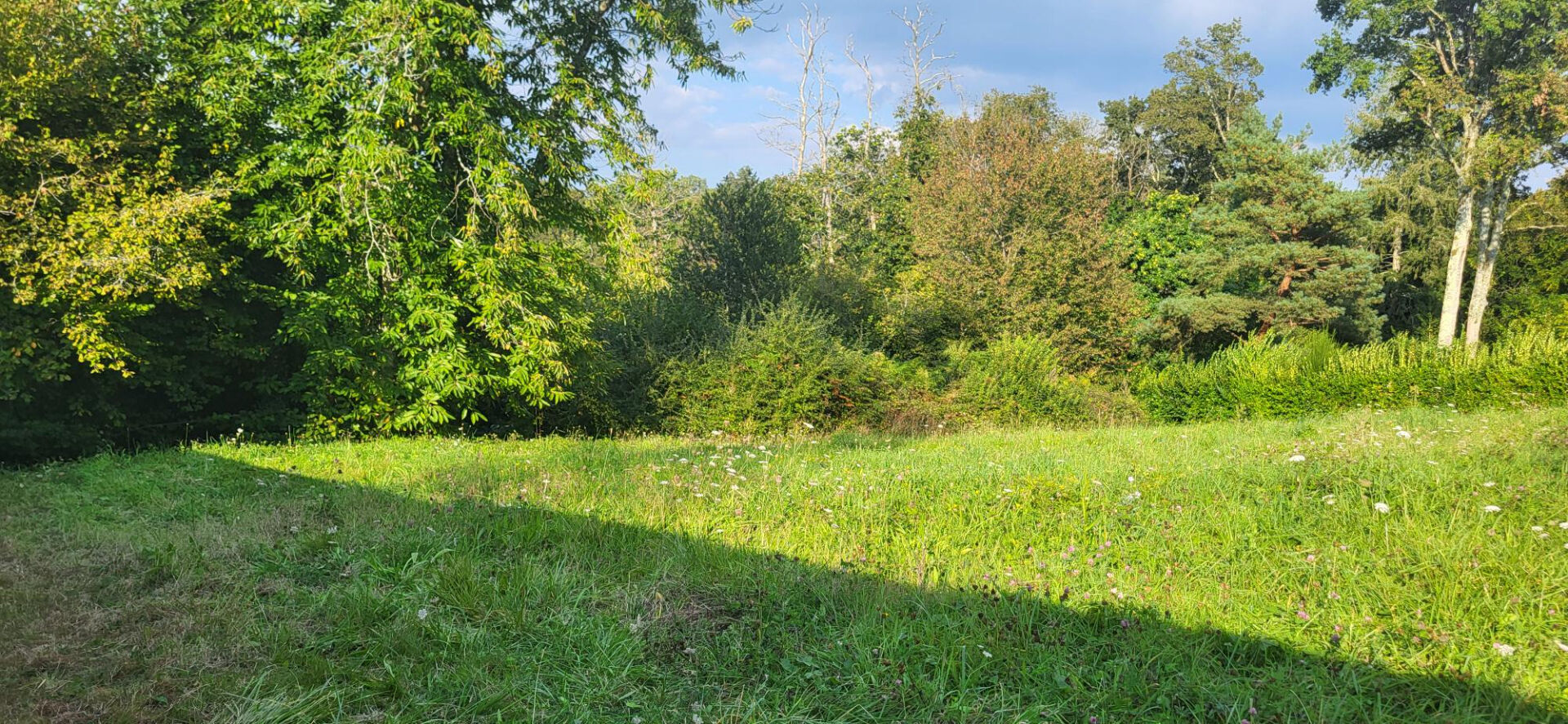 Terrain 920 m² · à Sautron · 920 m² · 337 800 €