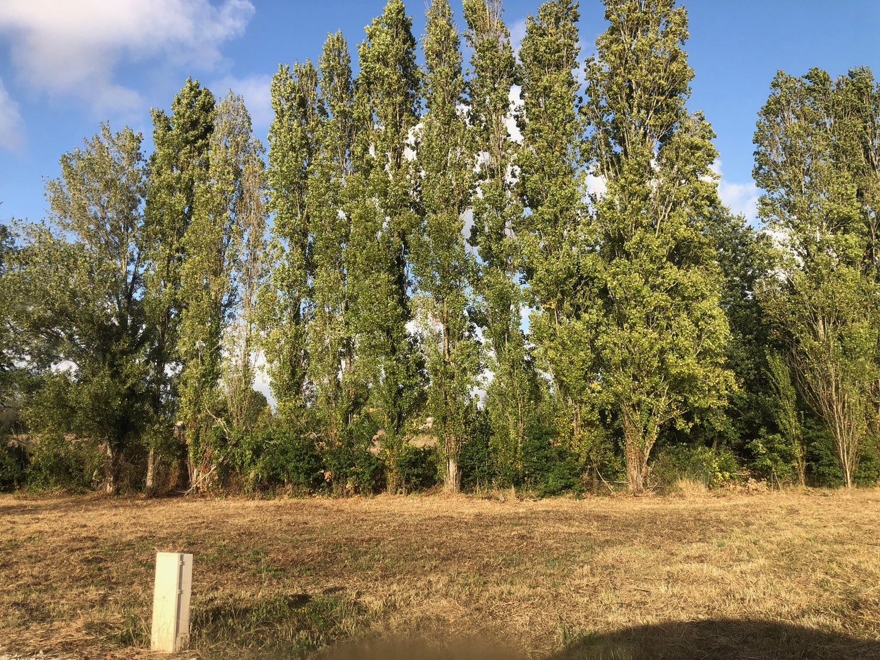 Terrain 467 m² · à Saint-Palais-sur-Mer · 467 m² · 147 000 €