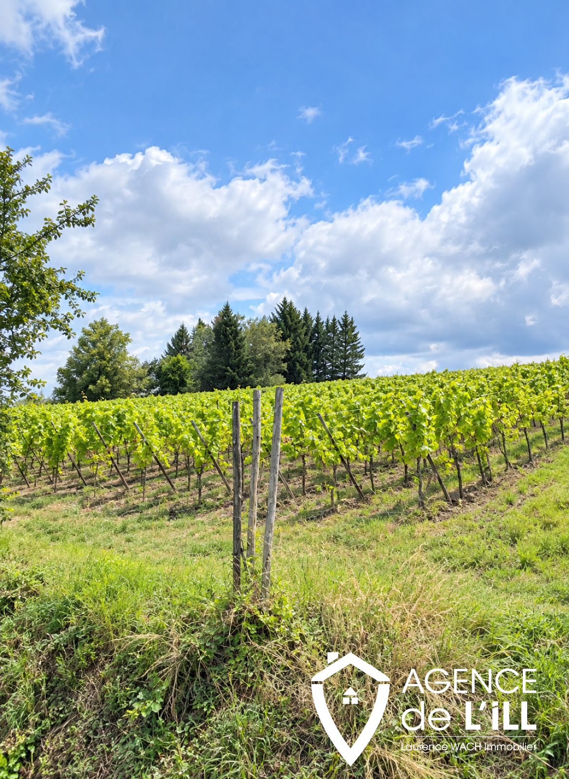Terrain 1298 m² · à Blienschwiller · 1 298 m² · 187 000 €