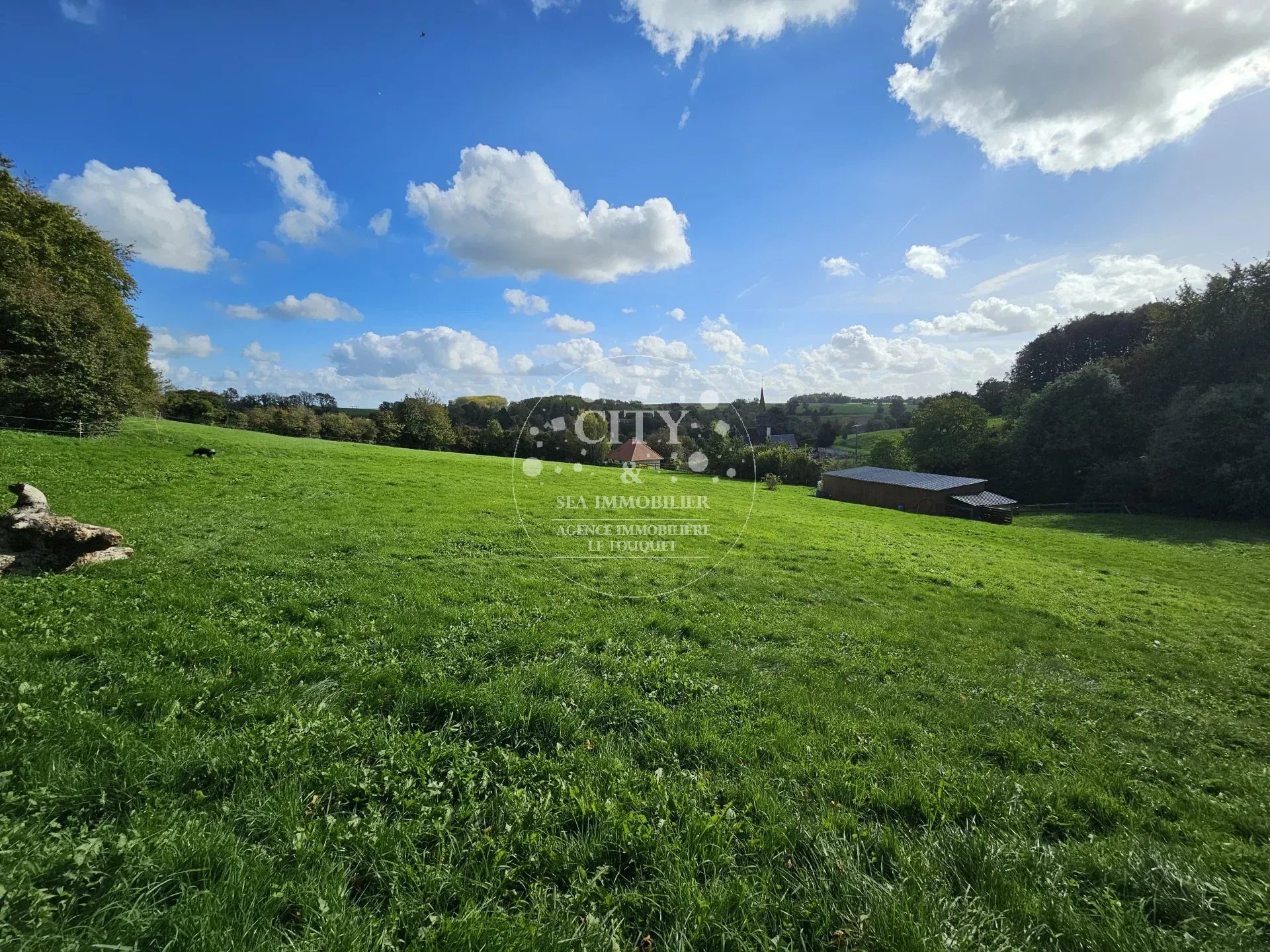 Maison 4 pièces 175 m² · à Saint-Denœux · 175 m² · 399 000 €