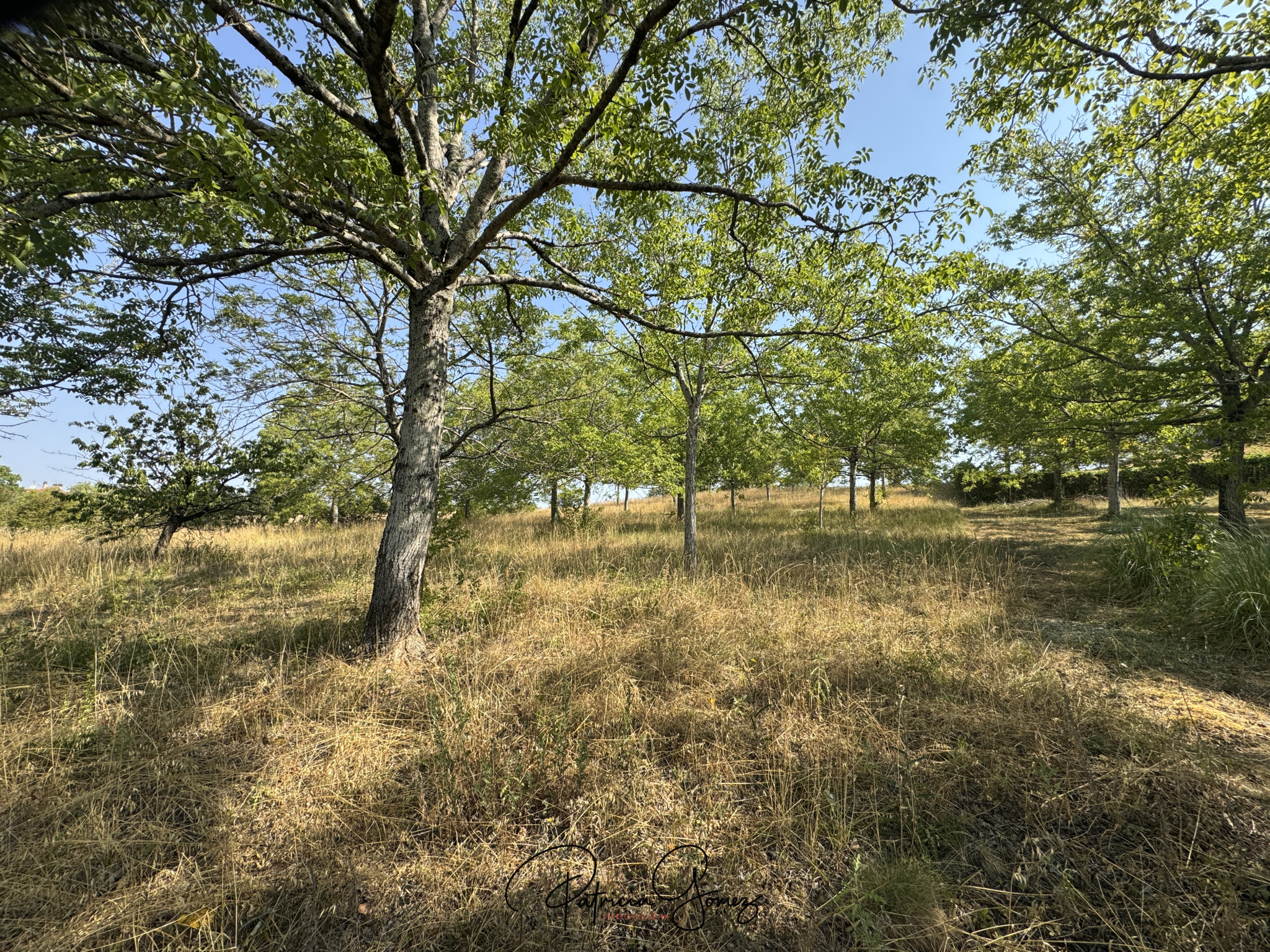 Terrain 3514 m² · à Castres · 3 514 m² · 149 000 €